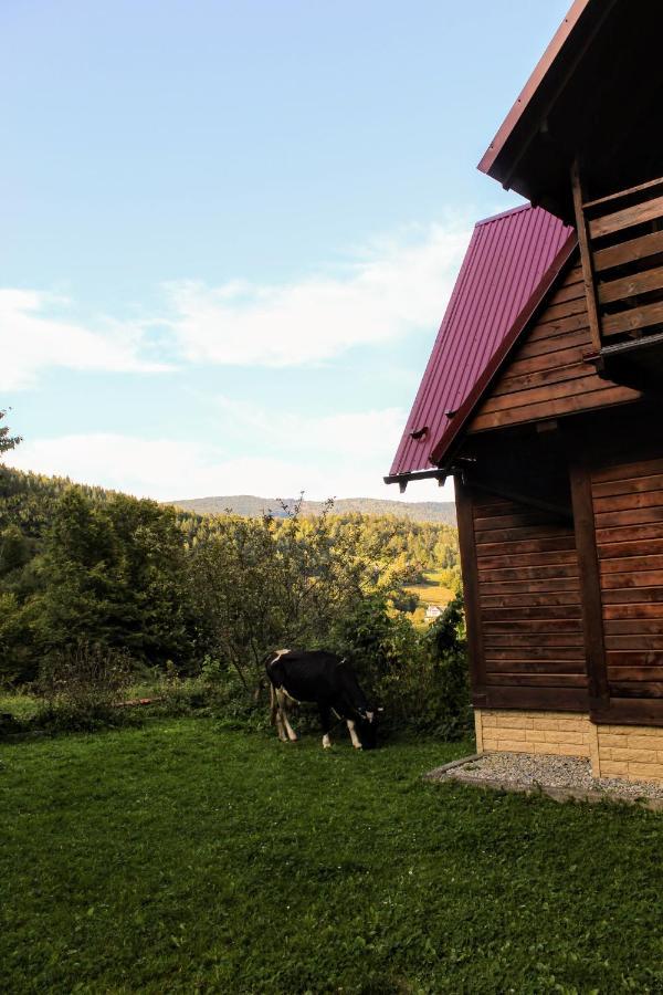 Cottage "Karpatske Shale" Яремче Екстер'єр фото