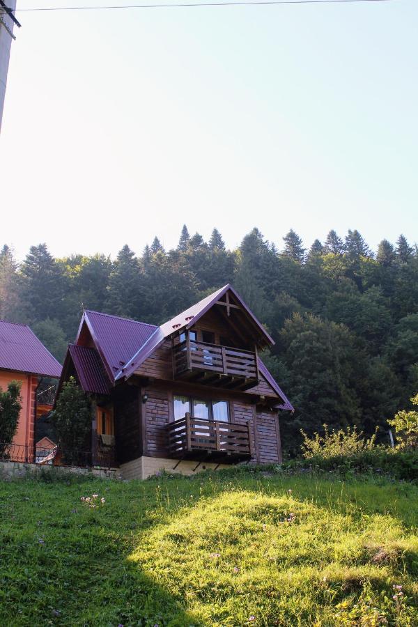 Cottage "Karpatske Shale" Яремче Екстер'єр фото