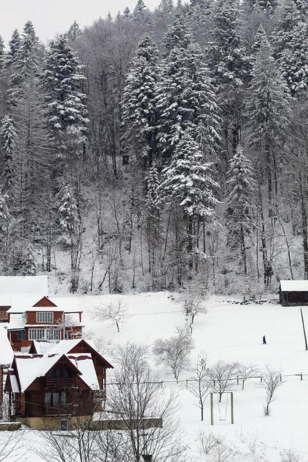 Cottage "Karpatske Shale" Яремче Екстер'єр фото
