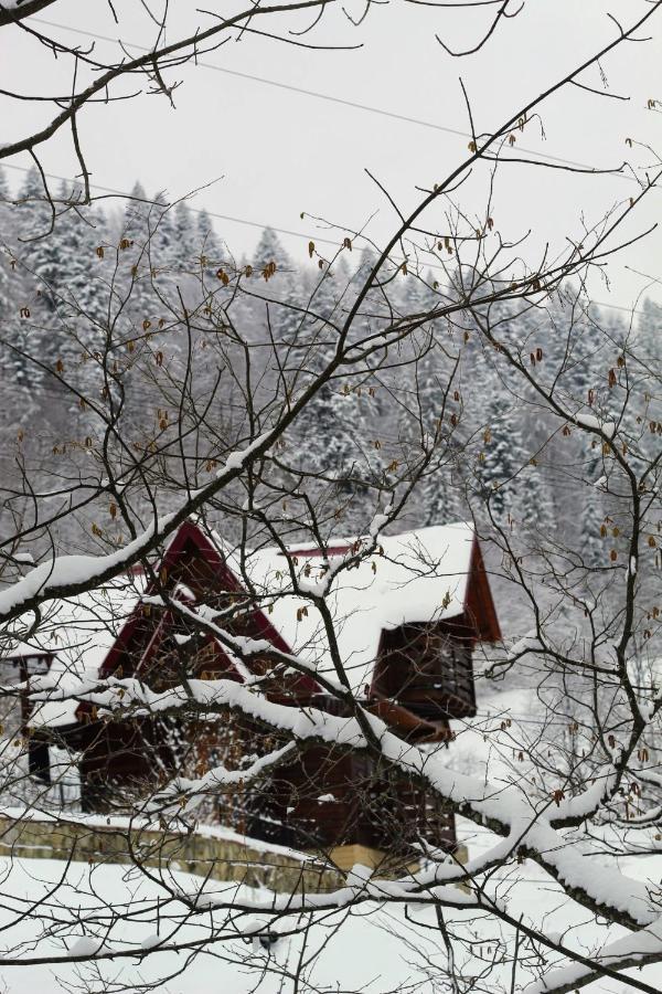 Cottage "Karpatske Shale" Яремче Екстер'єр фото
