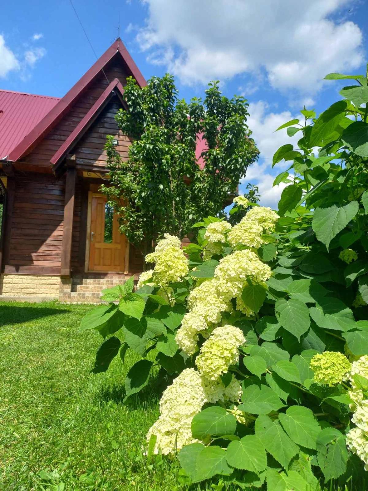 Cottage "Karpatske Shale" Яремче Екстер'єр фото